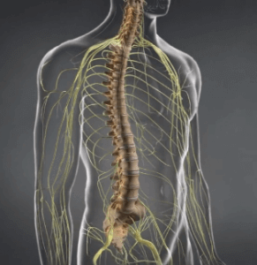 types of spinal stenosis