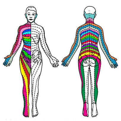 Spinal Conditions can affect the whole body along the nerve pathways