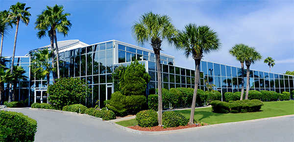 Bonati Spine Institute Tampa