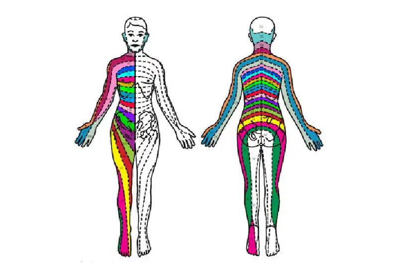 Radiculitis Treatment in Hudson & Tampa, FL